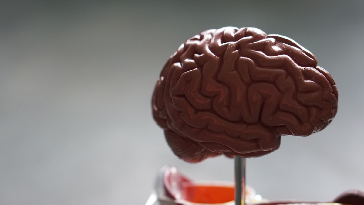 CPT 2026: Billing the First AI-Augmented Service Codes